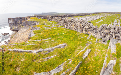 Path in Inish mor island with rocky landscape and green spring nature and on the left. Exploration of aran islands in Ireland photo