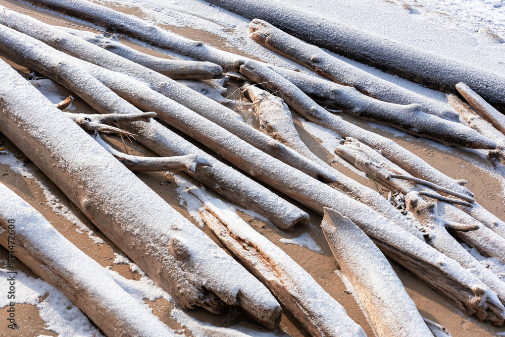 Abstract texture with hoarfrost snag logs on the shore