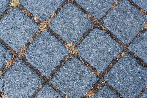 Abstract background with gray paving tiles with young grass between the seams