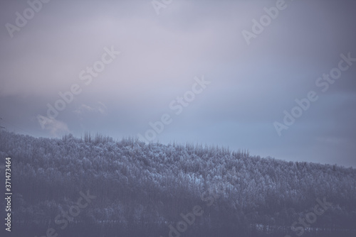 winter landscape with fog morning time