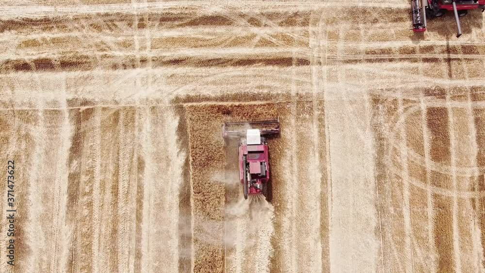 Aerial view. The red combine harvester cut off ripe wheat and threshes the grain. Top view of the farm field Aerial view. The red combine harvester cut off ripe wheat and threshes the grain. Top view of the farm field