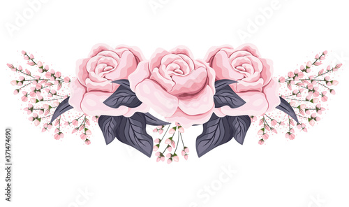 pink roses flowers with leaves painting design, natural floral nature plant ornament garden decoration and botany theme Vector illustration