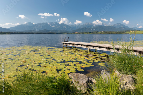 Steg am malerischen Hopfensee im Allg  u im Sommer