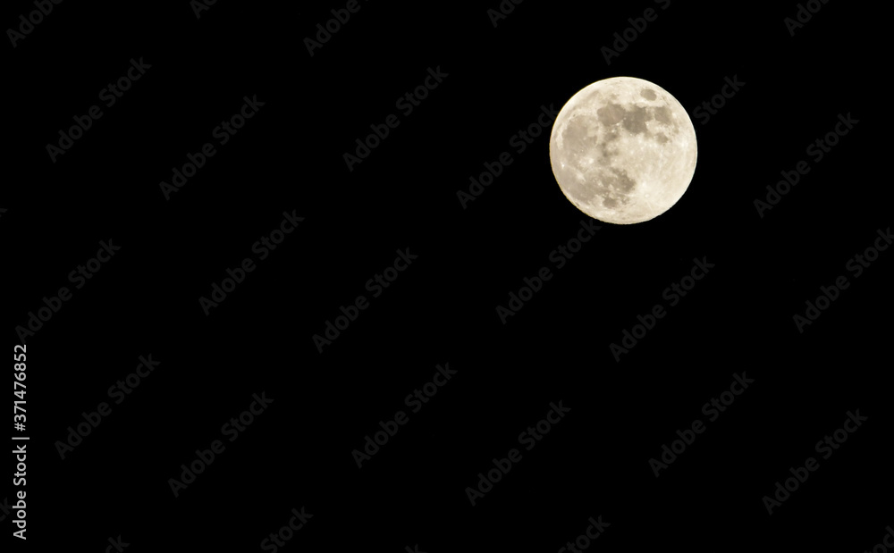 Moonlight Moonlight