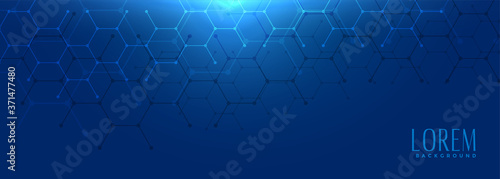 hexagonal shape blue wide banner design