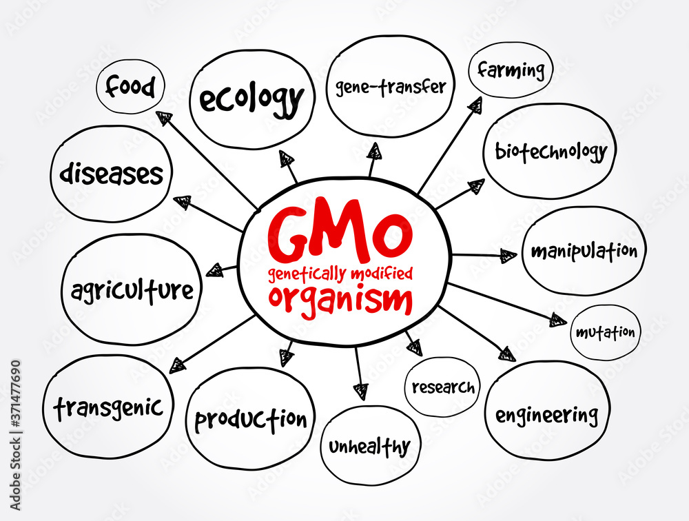 GMO - genetically modified organism mind map, concept for presentations and reports GMO - genetically modified organism mind map, concept for presentations and reports