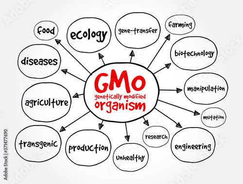 GMO - genetically modified organism mind map, concept for presentations and reports