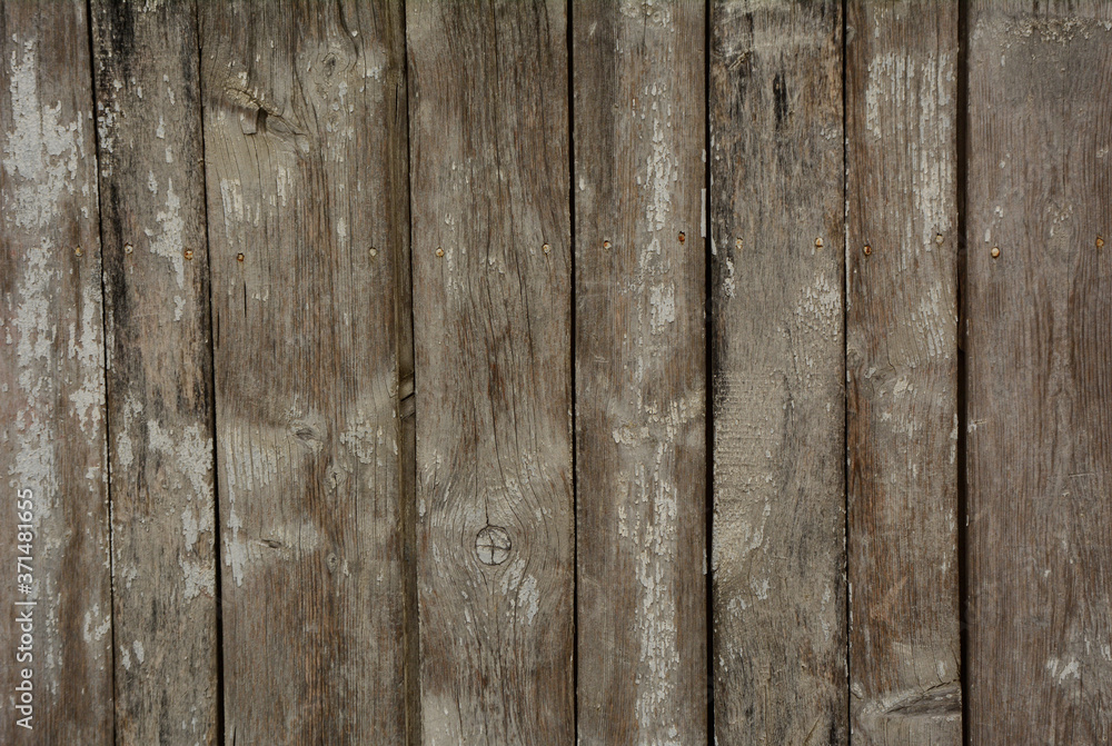 Old vertical boards with nails. Old vertical boards with nails.