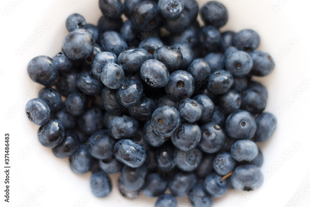 blueberries close-up. baby berries macro