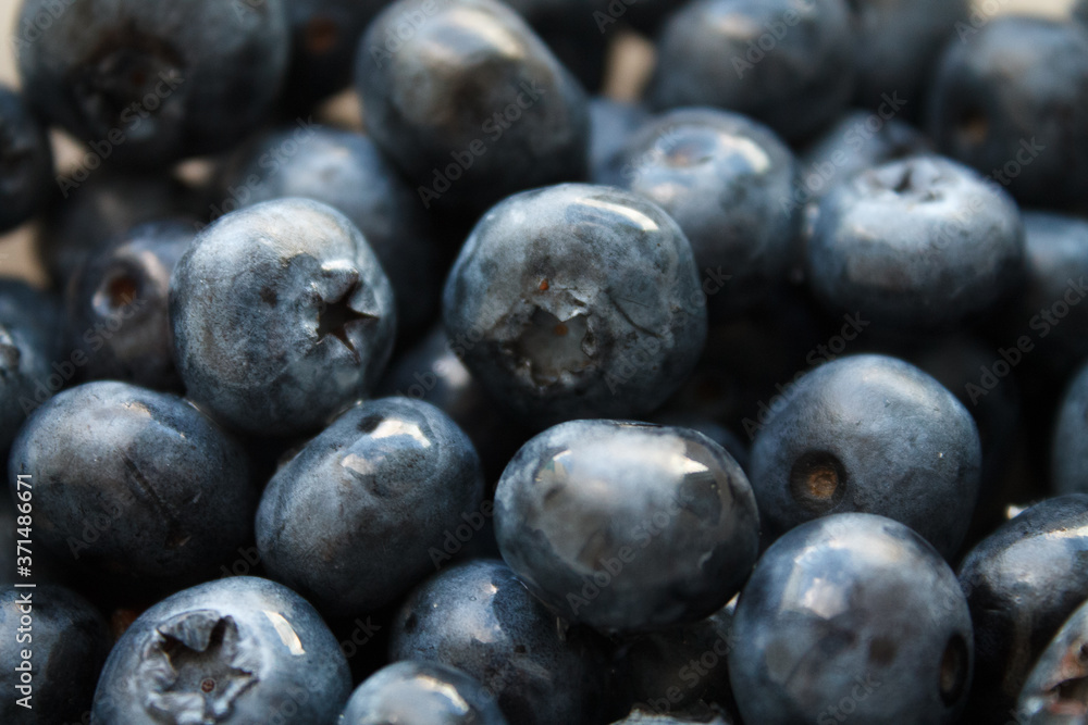 blueberries close-up. baby berries macro blueberries close-up. baby berries macro
