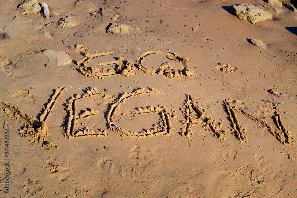 Obraz premium Go Vegan written in sand - found at the shore of lake
