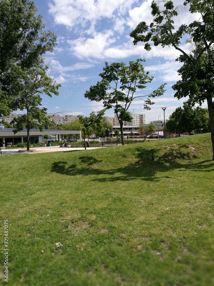 Obraz premium The landscape of Budapest's Bikás Park with the huge trees and hill
