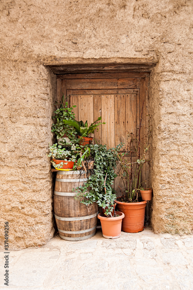 Traditional wine barrel with flowers in front of an old wooden door of a house.