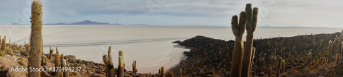 Pano of sun rise shot of captus and the Uyuni salar desert. South of Bolivia.