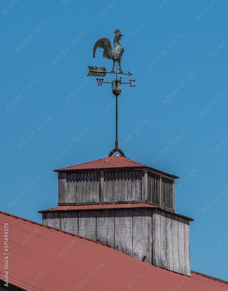 Weather vane on a cupola