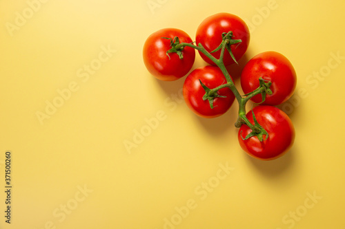 tomatoes on the vine © Nicole Cook