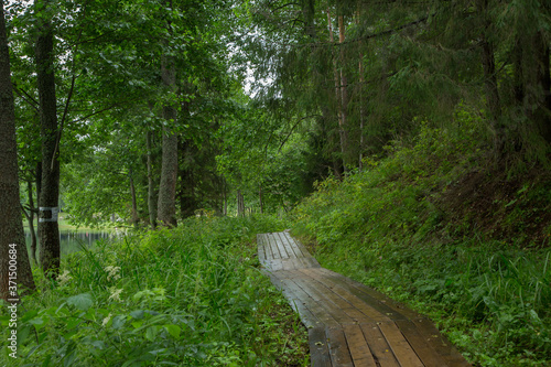 Wooden road along the Svetloyar lake, Voskresenskoe Povetluzhye national park, Russia photo