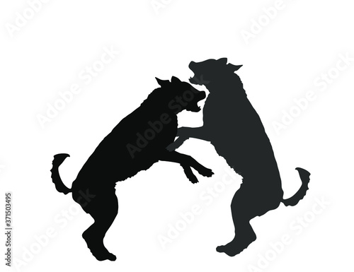 Fotografiet Aggressive dogs fighting vector silhouette isolated on white background