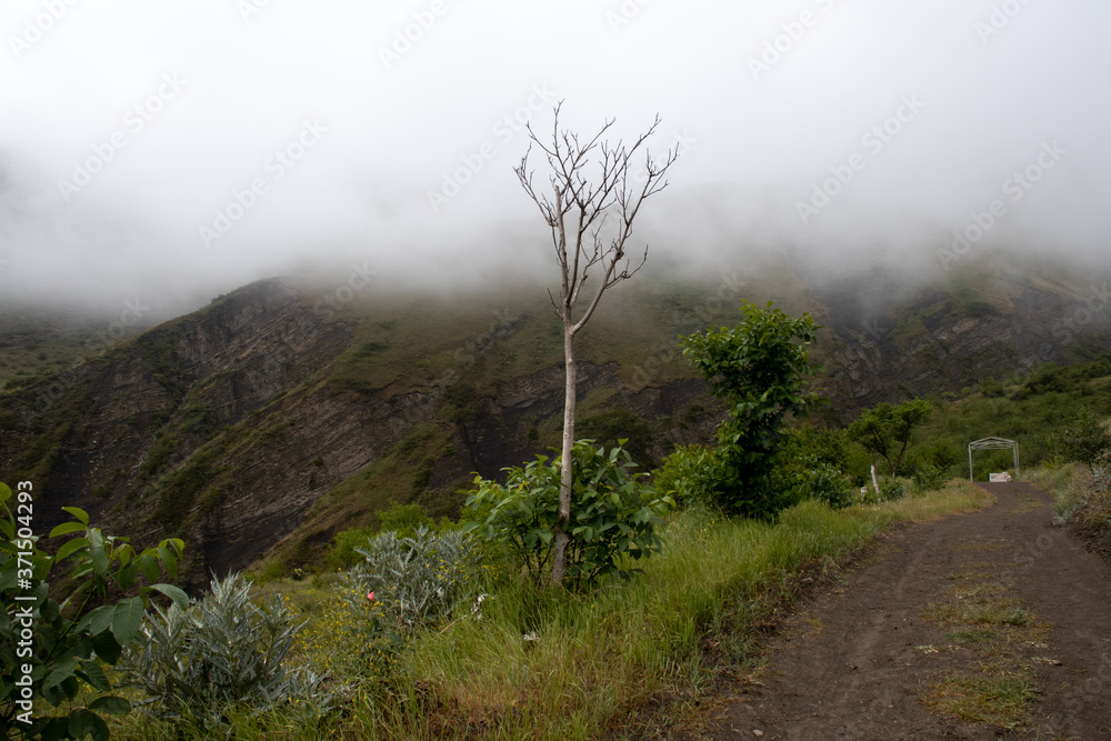 Moon road. Mountain road in cloudy weather. Tree on the background of mountains