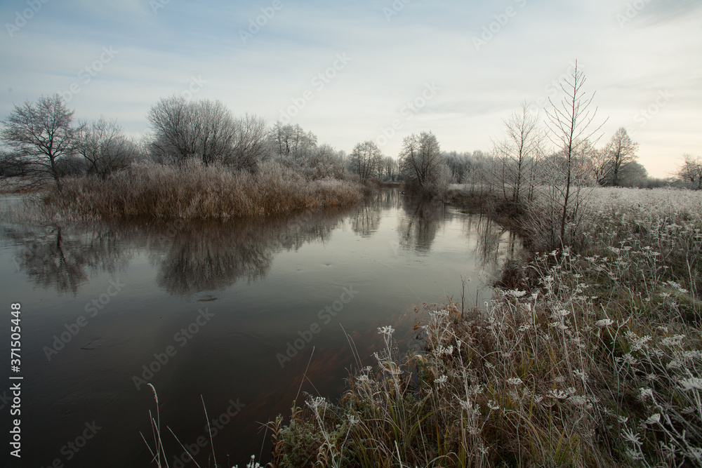 Autumn natural landscape with river and forest. Cold cloudy morning. The grass is white with frost.