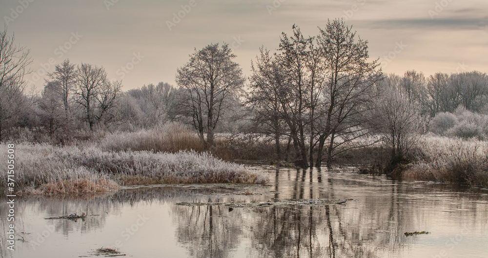 Autumn natural landscape with river and forest. Cold cloudy morning. The grass is white with frost. Autumn natural landscape with river and forest. Cold cloudy morning. The grass is white with frost.