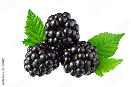 blackberries with leaves isolated on white background.