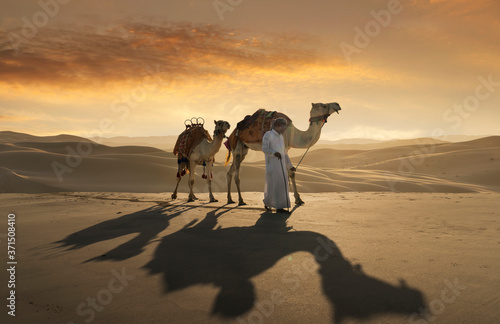 Man leading camels in desert during sunset photo