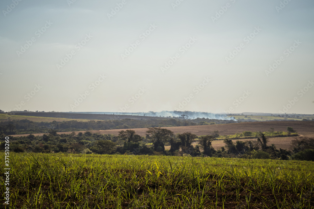 View of a sugar cane fire in brazilian countryside