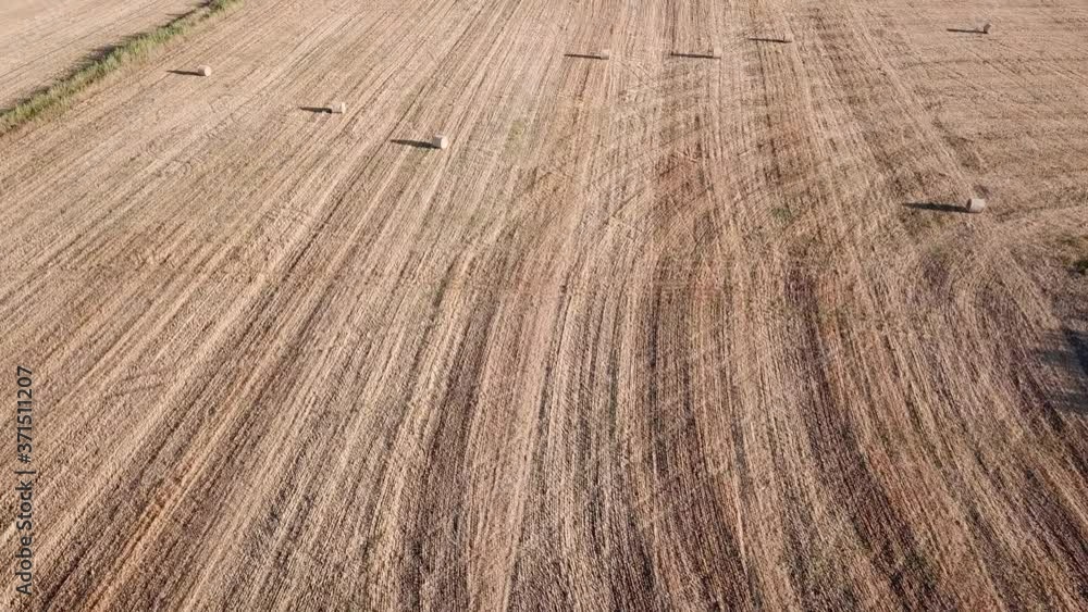 Aerial view of the straw bale on the gold color wheat field. Aerial view of the straw bale on the gold color wheat field.