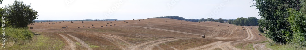 Weitläufiges Panoram eines abgeernteten Weizenfelds mit Strohballen, Strohrollen als Stoppelfeld mit Bäumen am Rand