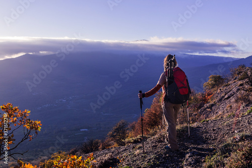 A young woman with a hiking backpack trekking poles stands high in the mountains and looks into the bluish valley. Sunset girl tourist stands back.