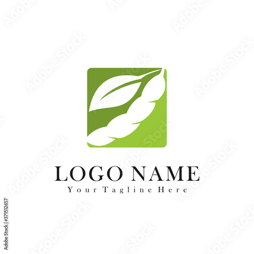 Soybean logo icon. Soy bean. Vector illustration