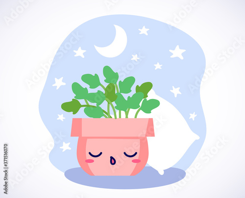 Kawaii cute sleeping plant with ZZZ text and cozy pillow in flat style. Can be used for greeting cards or posters or interior design elements, stickers, hygge illustrations or insomnia leaflets etc.
