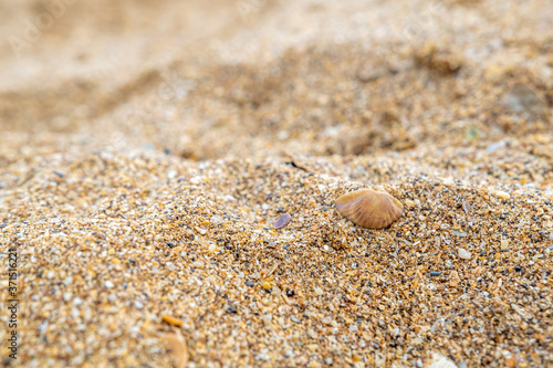 Close up of sand from small shells on the seaside.