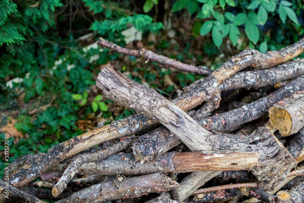 Tas de bois Tas de bois