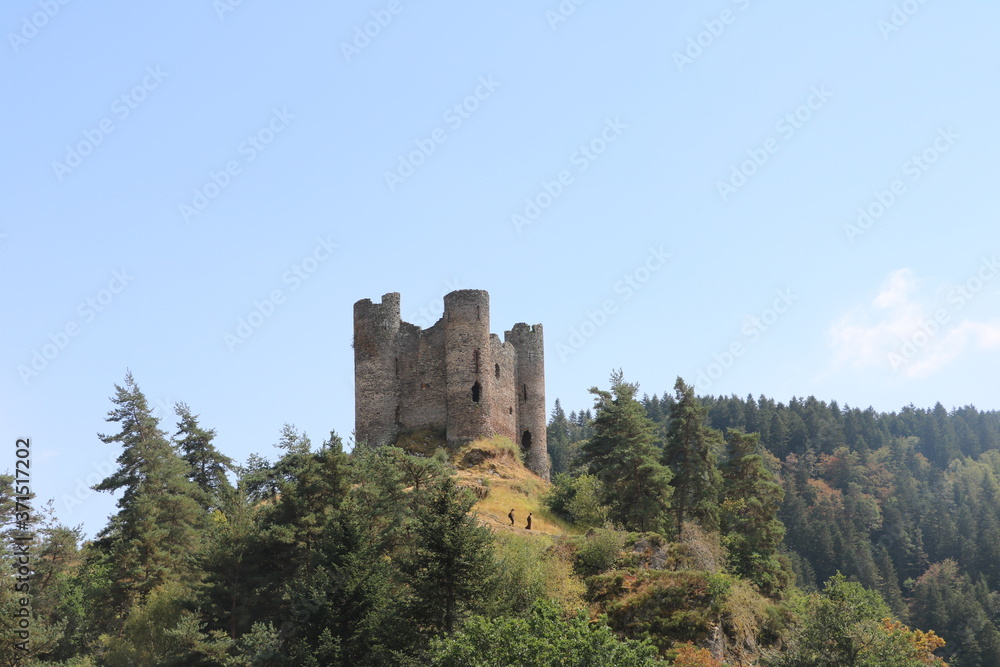 Château d'Alleuze Château d'Alleuze