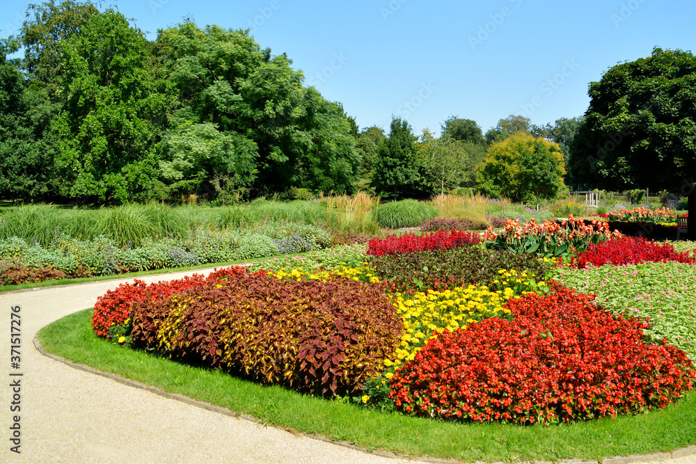 Botanischer Garten in Gütersloh im August, bunte Blumenwiese