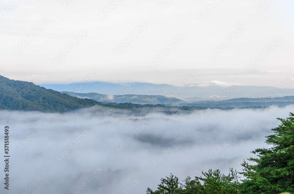 Fototapeta premium fog in the valley below a scenic overlook along the skyway motorway in the talladega national forest, alabama, usa