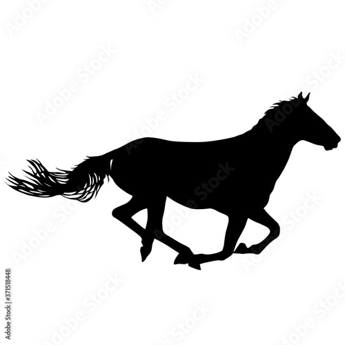 Silhouette of black mustang horse on white background