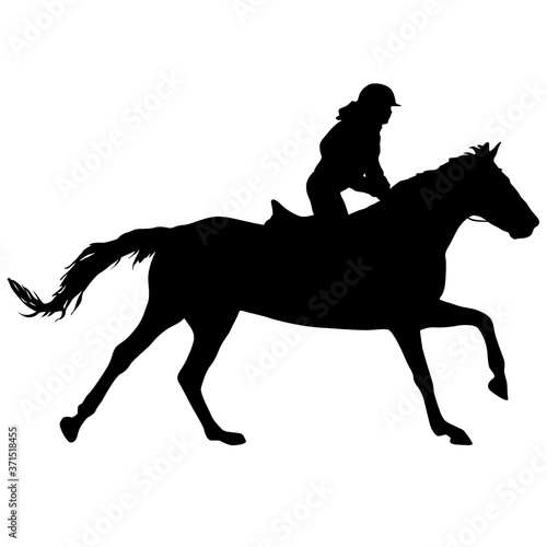 Silhouette of horse and jockey on white background