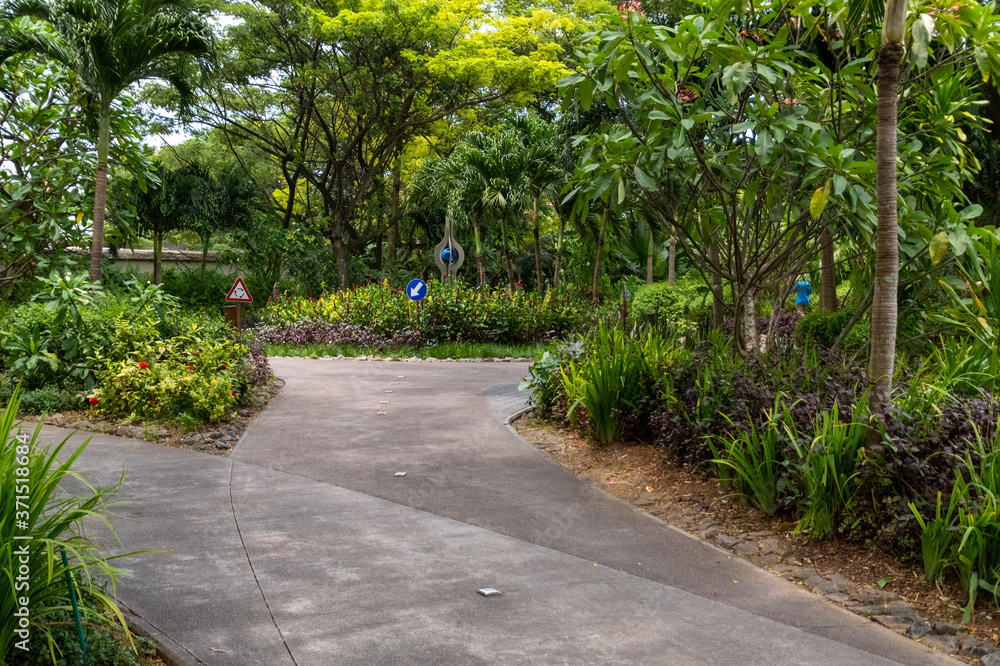 Road in a tropical botanical garden