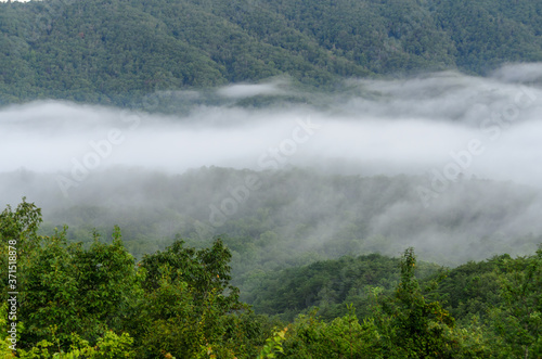 fog in the valley below a scenic overlook along the skyway motorway in the talladega national forest  alabama  usa
