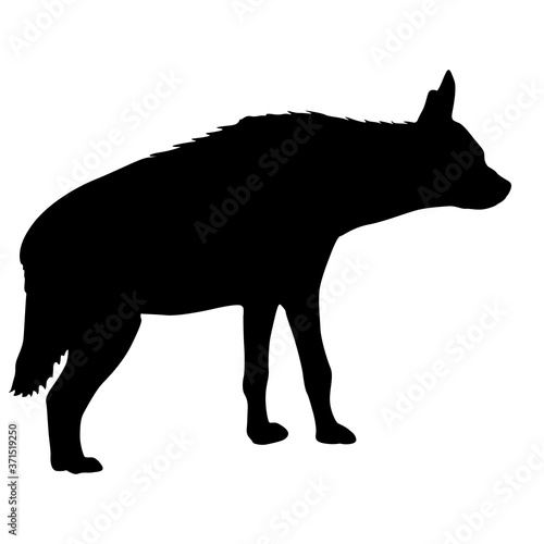 Silhouette of the potted hyena on a white background.