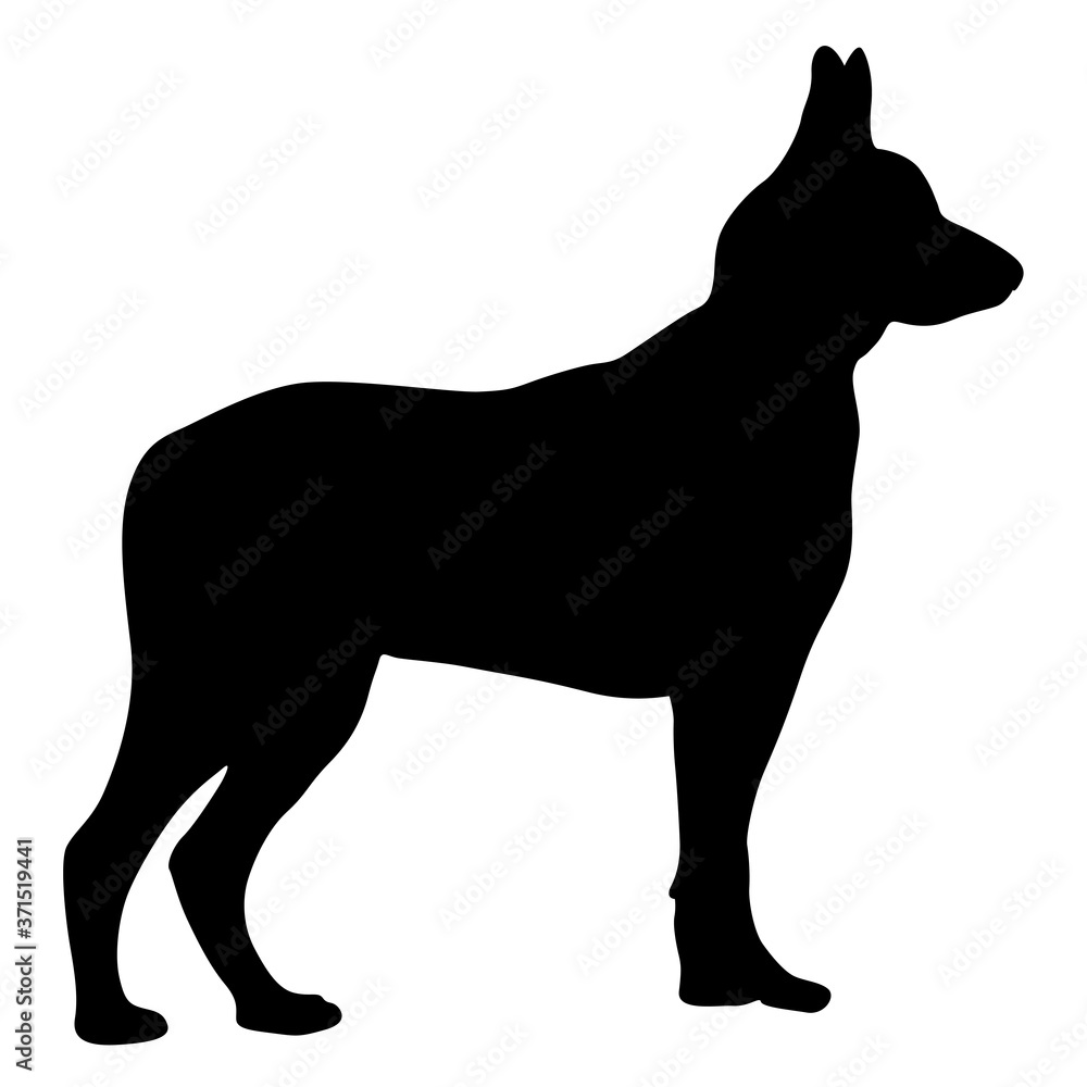 Shepherd dog black silhouette on white background