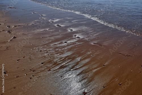 Wallpaper Mural Fußspuren im nassen Sand Torontodigital.ca