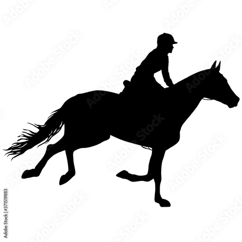 Silhouette of horse and jockey on white background