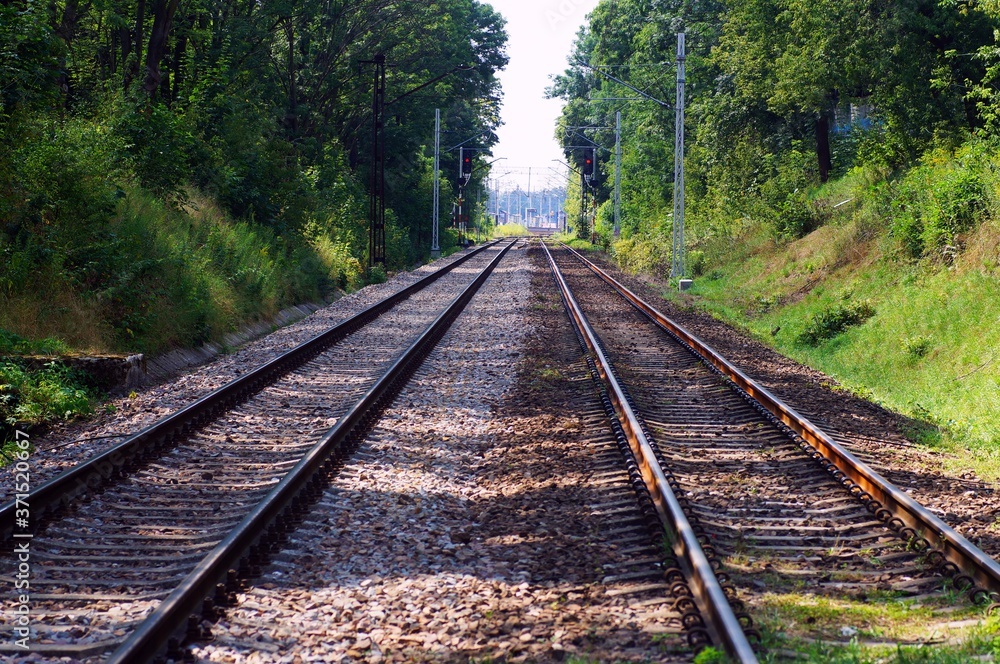 High-speed railroad tracks