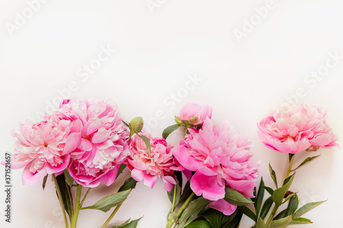 Fototapeta Naklejka Na Ścianę i Meble -  Top view of pink peony flowers with copy space. Floral background.