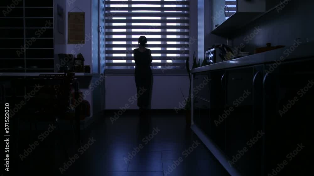 Silhouette Of A Young Girl, Woman Standing in the Room, Looking in the Window, Praying

