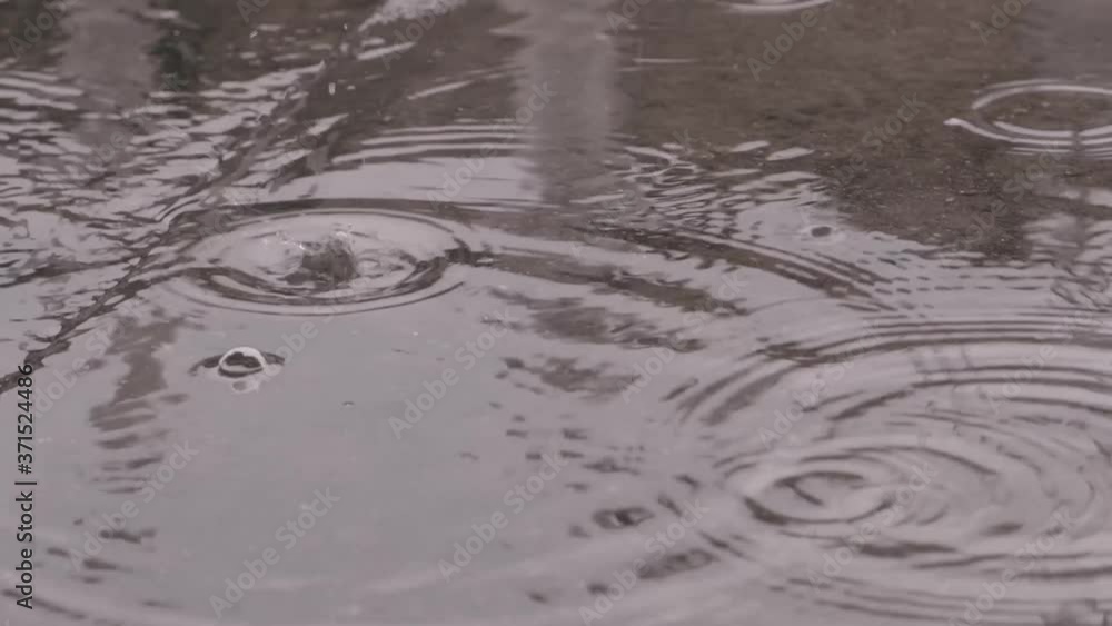 background of drops of drizzly summer rain falling on the asphalt, abstract pattern of splashes of water, concept weather and nature background of drops of drizzly summer rain falling on the asphalt, abstract pattern of splashes of water, concept weather and nature